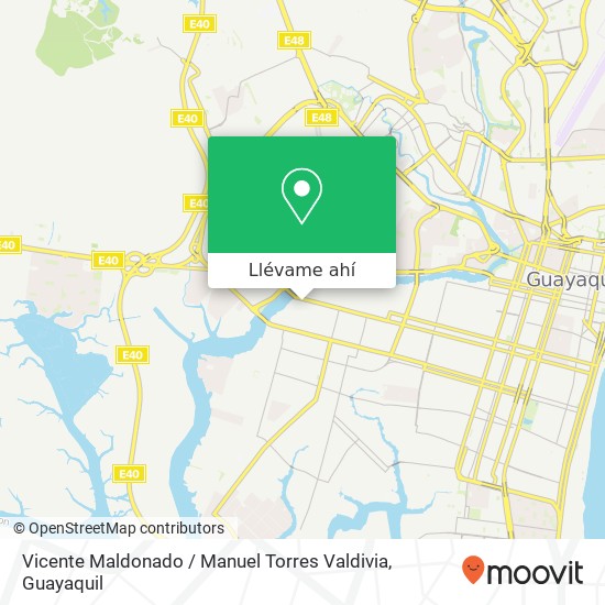 Mapa de Vicente Maldonado / Manuel Torres Valdivia