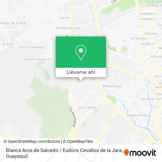 Mapa de Blanca Arce de Salcedo / Eudoro Cevallos de la Jara