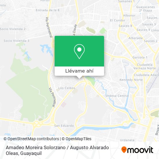 Mapa de Amadeo Moreira Solorzano / Augusto Alvarado Oleas