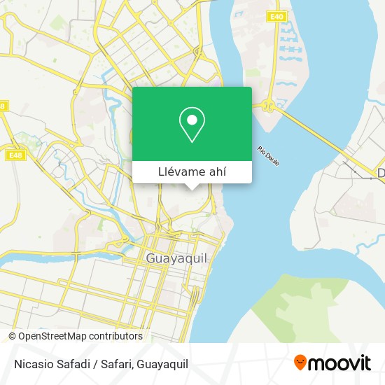 Mapa de Nicasio Safadi / Safari
