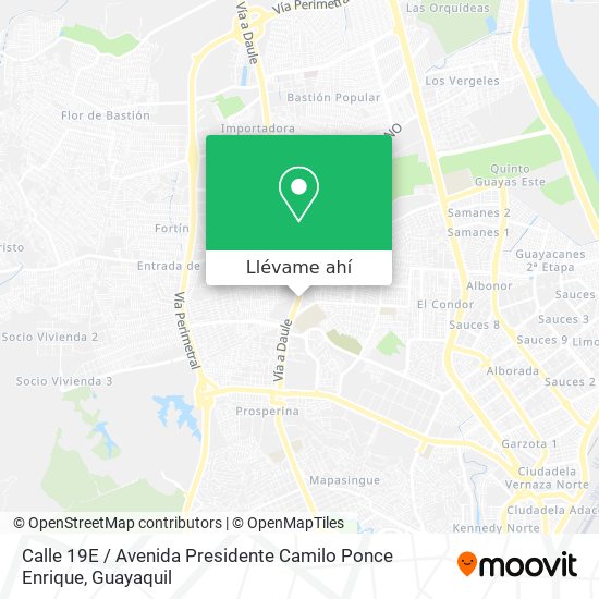 Mapa de Calle 19E / Avenida Presidente Camilo Ponce Enrique