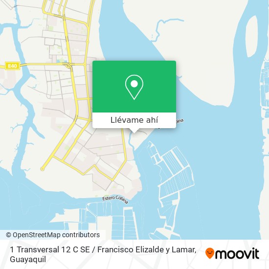 Mapa de 1 Transversal 12 C SE / Francisco Elizalde y Lamar