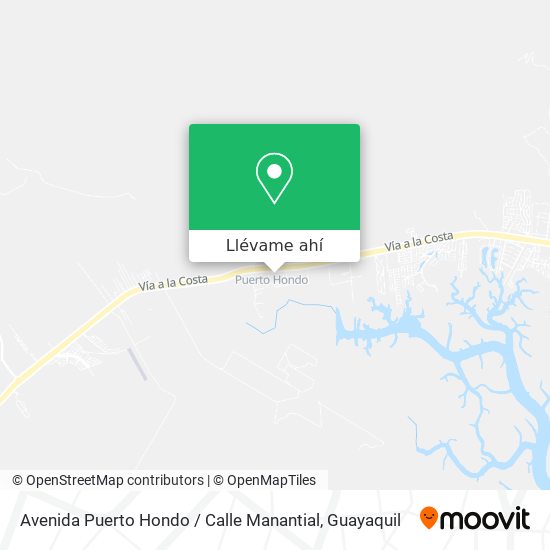 Mapa de Avenida Puerto Hondo / Calle Manantial