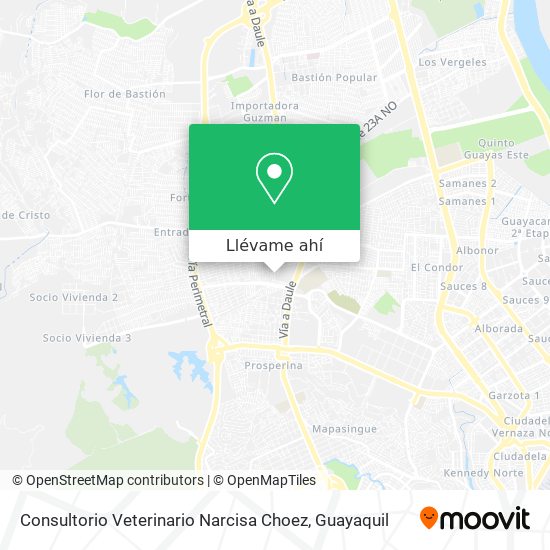 Mapa de Consultorio Veterinario Narcisa Choez