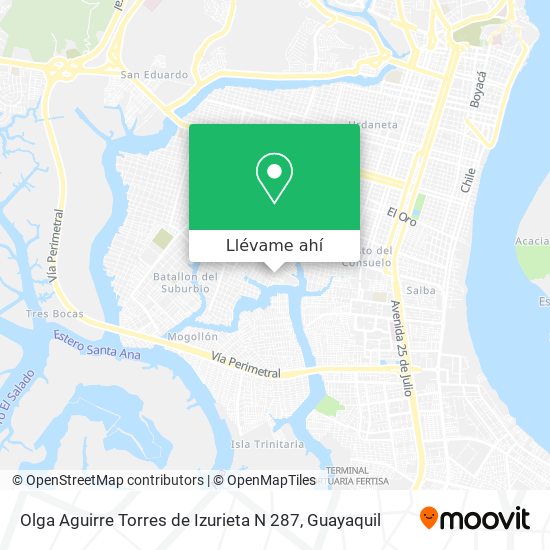Mapa de Olga Aguirre Torres de Izurieta N 287