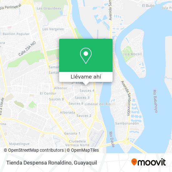 Mapa de Tienda Despensa Ronaldino
