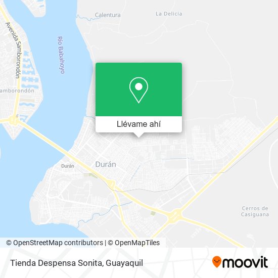 Mapa de Tienda Despensa Sonita