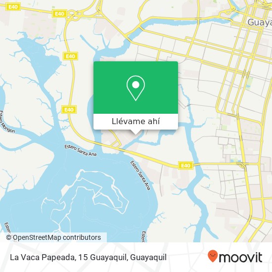 Mapa de La Vaca Papeada, 15 Guayaquil