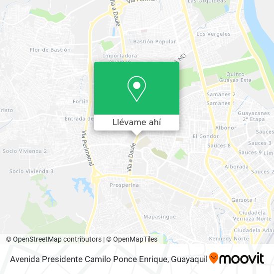 Mapa de Avenida Presidente Camilo Ponce Enrique