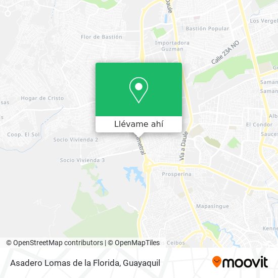 Mapa de Asadero Lomas de la Florida