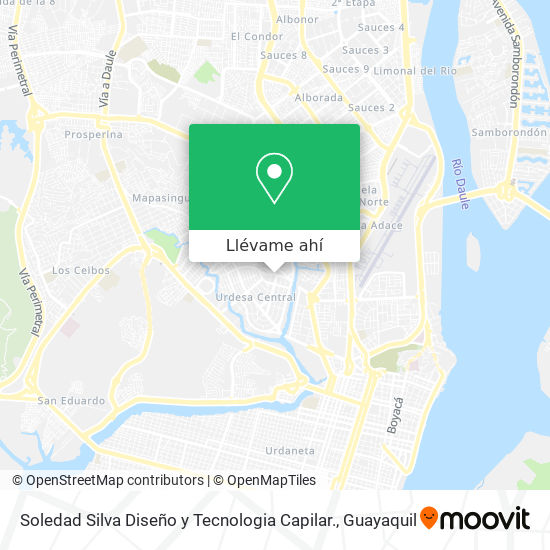 Mapa de Soledad Silva Diseño y Tecnologia Capilar.