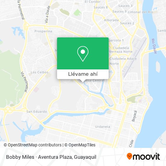 Mapa de Bobby Miles · Aventura Plaza