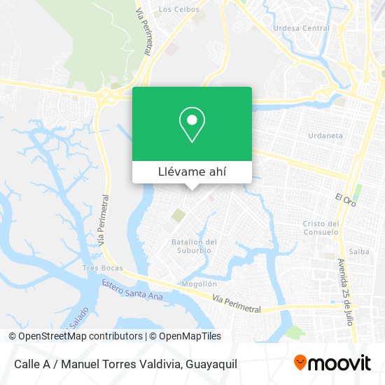 Mapa de Calle A / Manuel Torres Valdivia