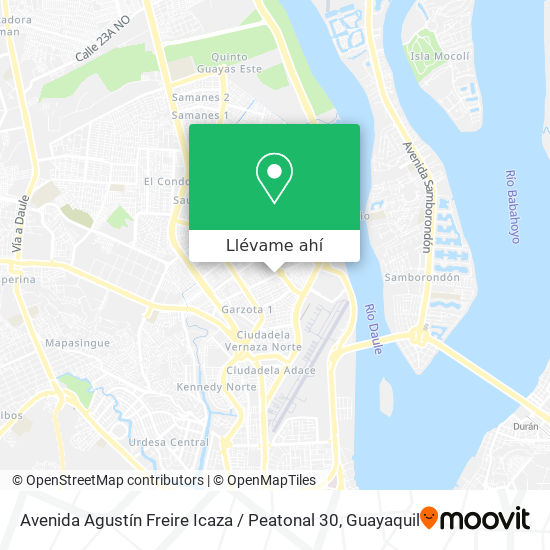 Mapa de Avenida Agustín Freire Icaza / Peatonal 30