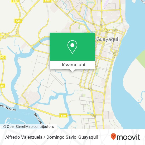 Mapa de Alfredo Valenzuela / Domingo Savio