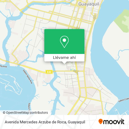 Mapa de Avenida Mercedes Arzube de Roca