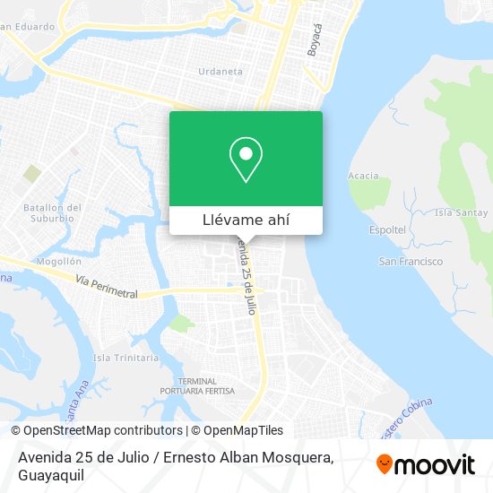 Mapa de Avenida 25 de Julio / Ernesto Alban Mosquera
