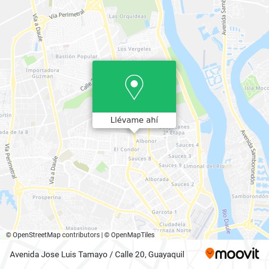Mapa de Avenida Jose Luis Tamayo / Calle 20