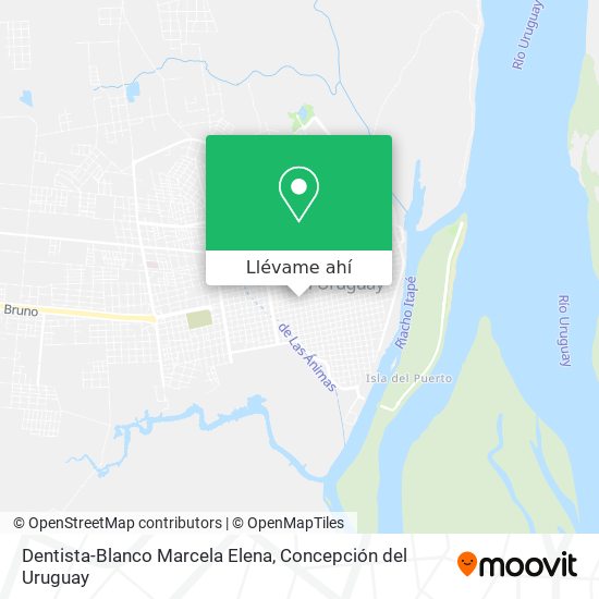 Mapa de Dentista-Blanco Marcela Elena