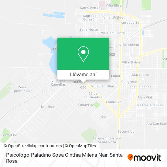 Mapa de Psicologo-Paladino Sosa Cinthia Milena Nair