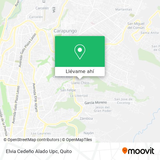 Mapa de Elvia Cedeño Alado Upc