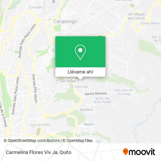 Mapa de Carmelina Flores Viv Ja