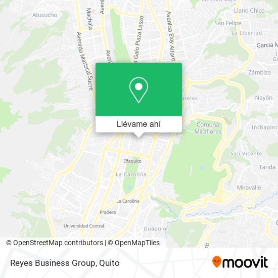 Mapa de Reyes Business Group