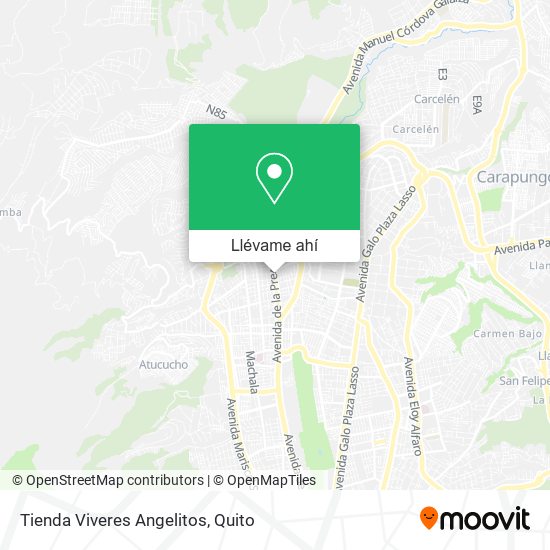 Mapa de Tienda Viveres Angelitos