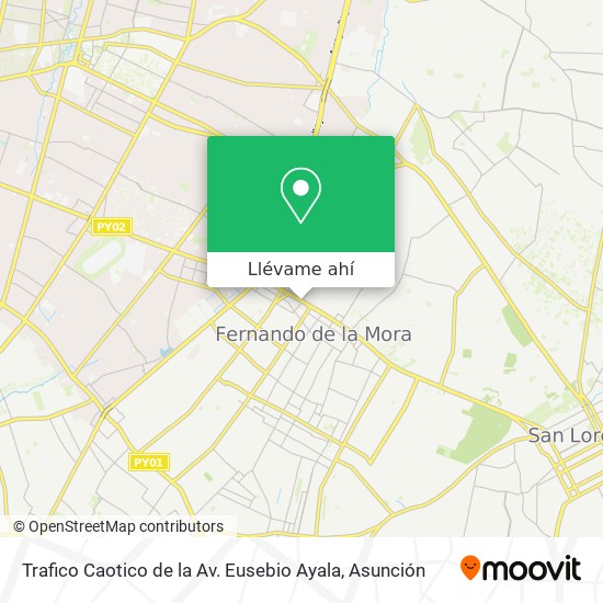 Mapa de Trafico Caotico de la Av. Eusebio Ayala