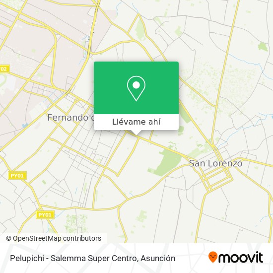 Mapa de Pelupichi - Salemma Super Centro