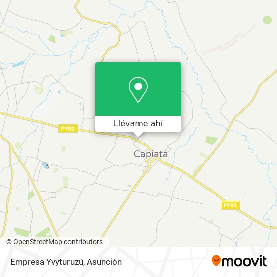 Mapa de Empresa Yvyturuzú