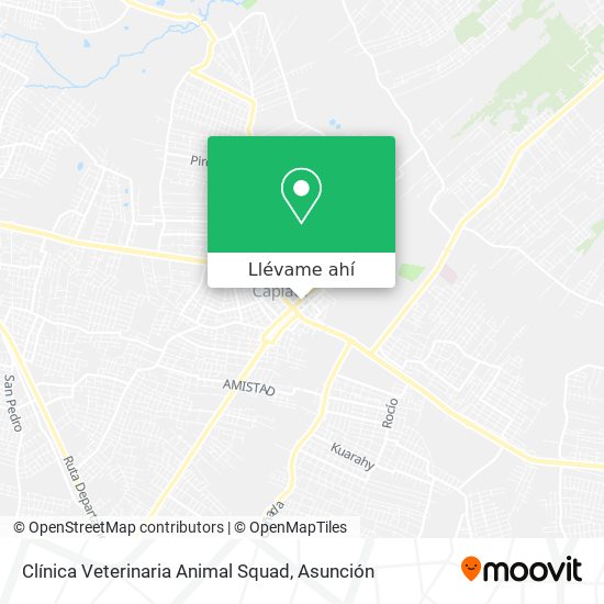 Mapa de Clínica Veterinaria Animal Squad