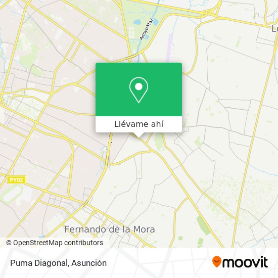 Mapa de Puma Diagonal