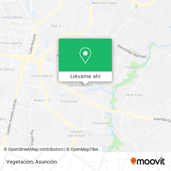 Mapa de Vegetacion