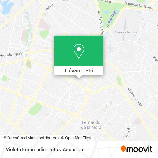 Mapa de Violeta Emprendimientos