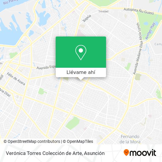 Mapa de Verónica Torres Colección de Arte