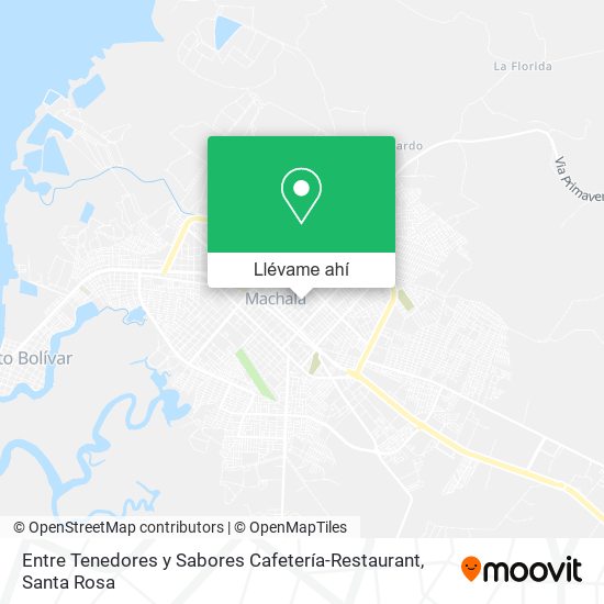 Mapa de Entre Tenedores y Sabores Cafetería-Restaurant