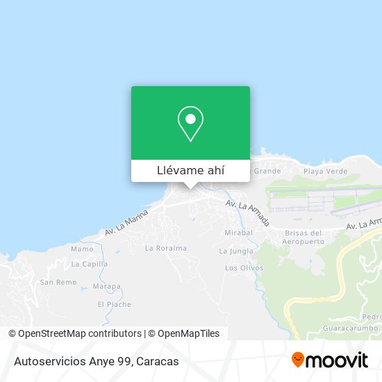 Mapa de Autoservicios Anye 99