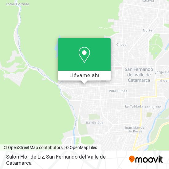 Mapa de Salon Flor de Liz