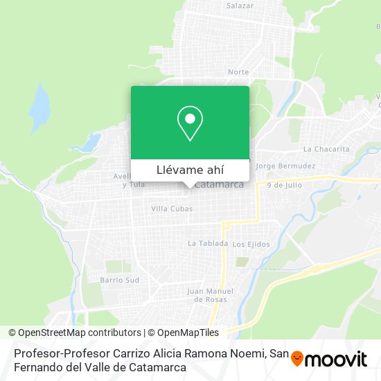 Mapa de Profesor-Profesor Carrizo Alicia Ramona Noemi