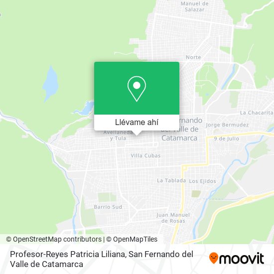 Mapa de Profesor-Reyes Patricia Liliana