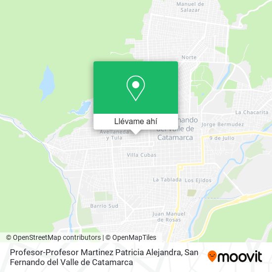 Mapa de Profesor-Profesor Martinez Patricia Alejandra