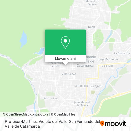 Mapa de Profesor-Martinez Violeta del Valle
