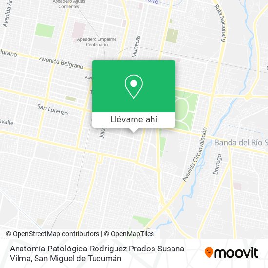 Mapa de Anatomía Patológica-Rodriguez Prados Susana Vilma