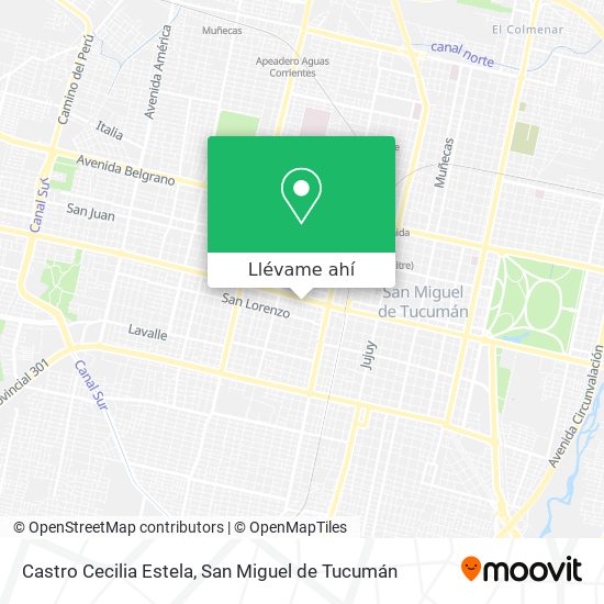 Mapa de Castro Cecilia Estela