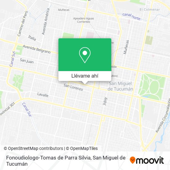 Mapa de Fonoudiologo-Tomas de Parra Silvia