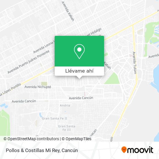 Cómo llegar a Pollos & Costillas Mi Rey en Benito Juárez en Autobús?