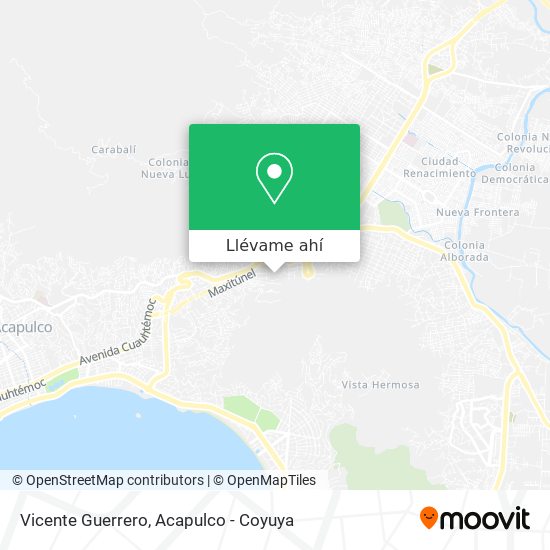 Mapa de Vicente Guerrero