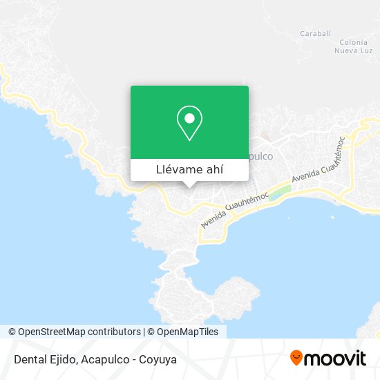 Mapa de Dental Ejido