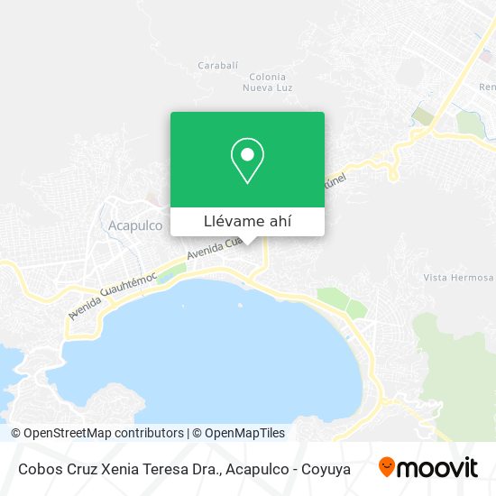 Mapa de Cobos Cruz Xenia Teresa Dra.